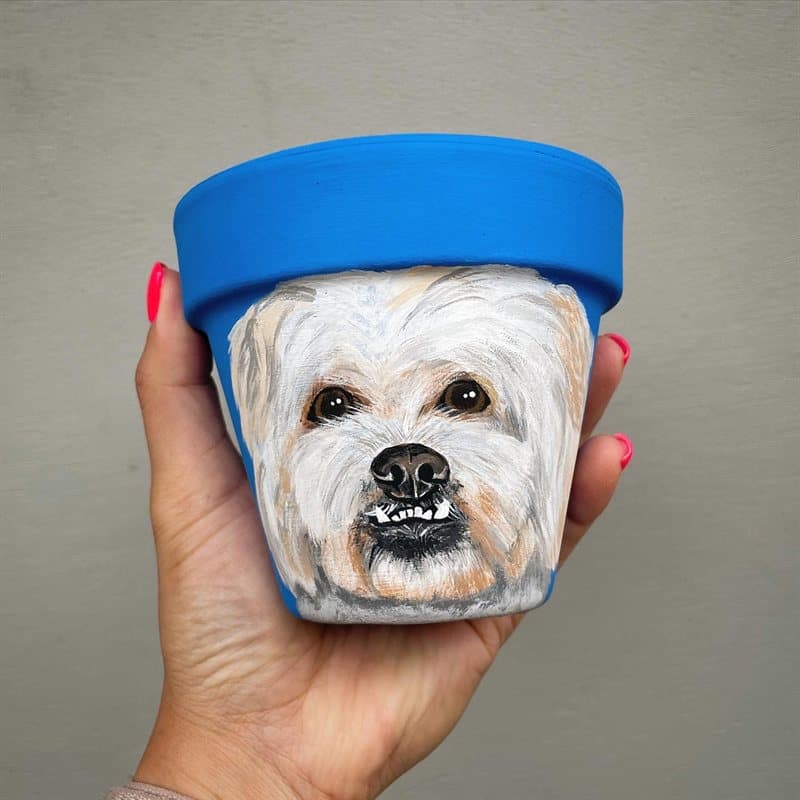 Hand-painted white Maltese on a blue clay pot