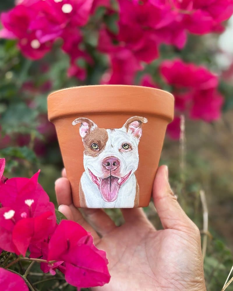 Example painted pot — a brown and white pit bull on a terracotta clay pot