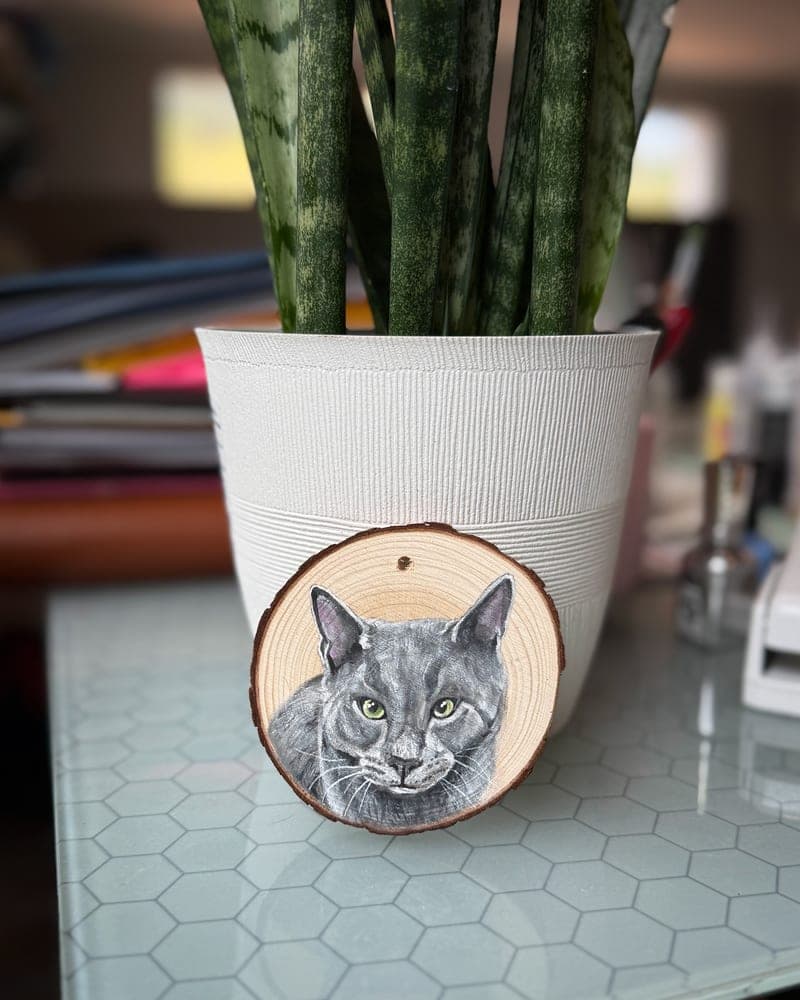 Hand-painted grey cat on a wood round ornament, propped against a white ribbed planter holding a snake plant