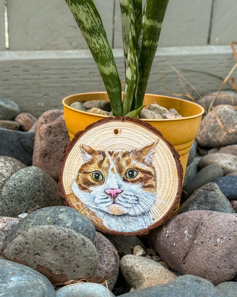 Hand-painted orange-and-white cat on a wood round ornament, propped among river rocks beside a yellow pot