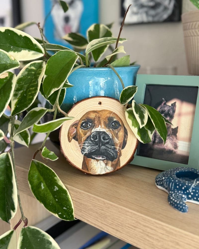 Hand-painted boxer on a wood round ornament, on a shelf beside a blue glazed pot with a trailing hoya