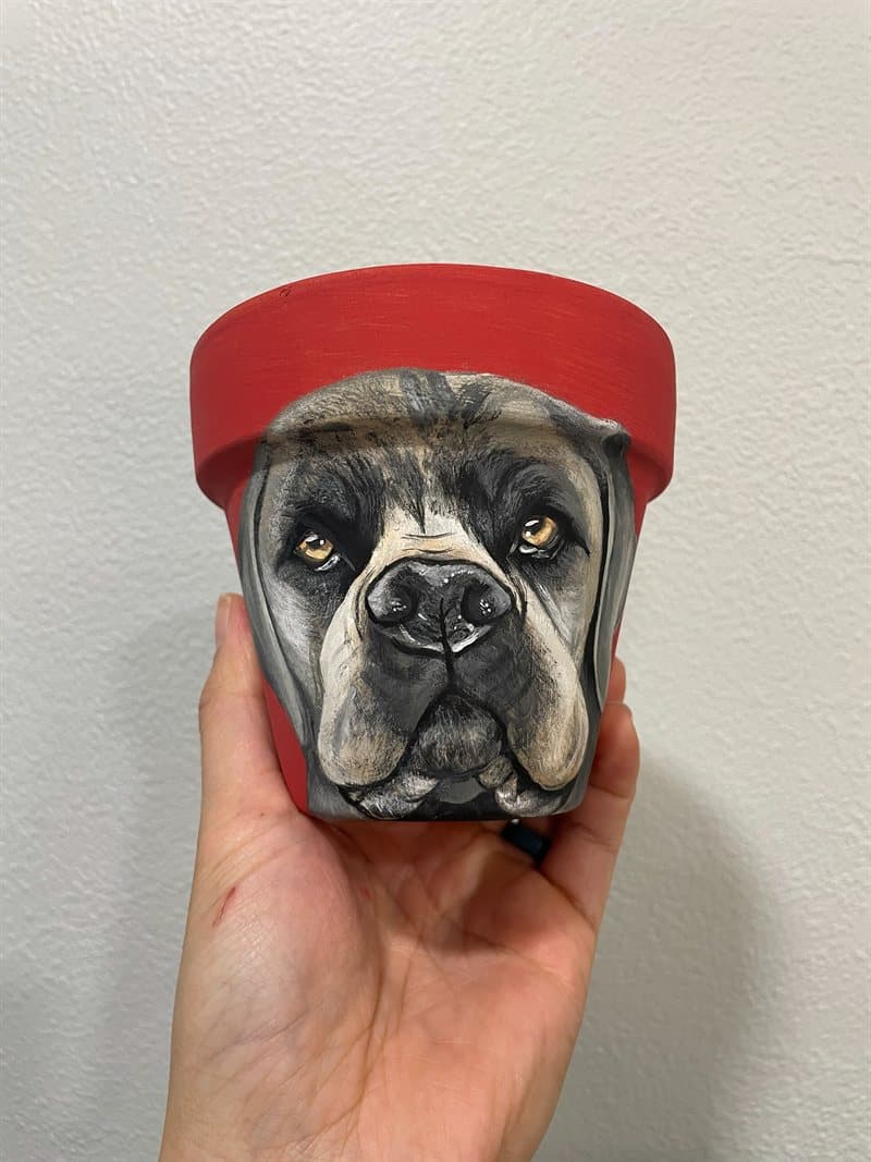 Hand-painted grey bullmastiff on a red-rimmed clay pot