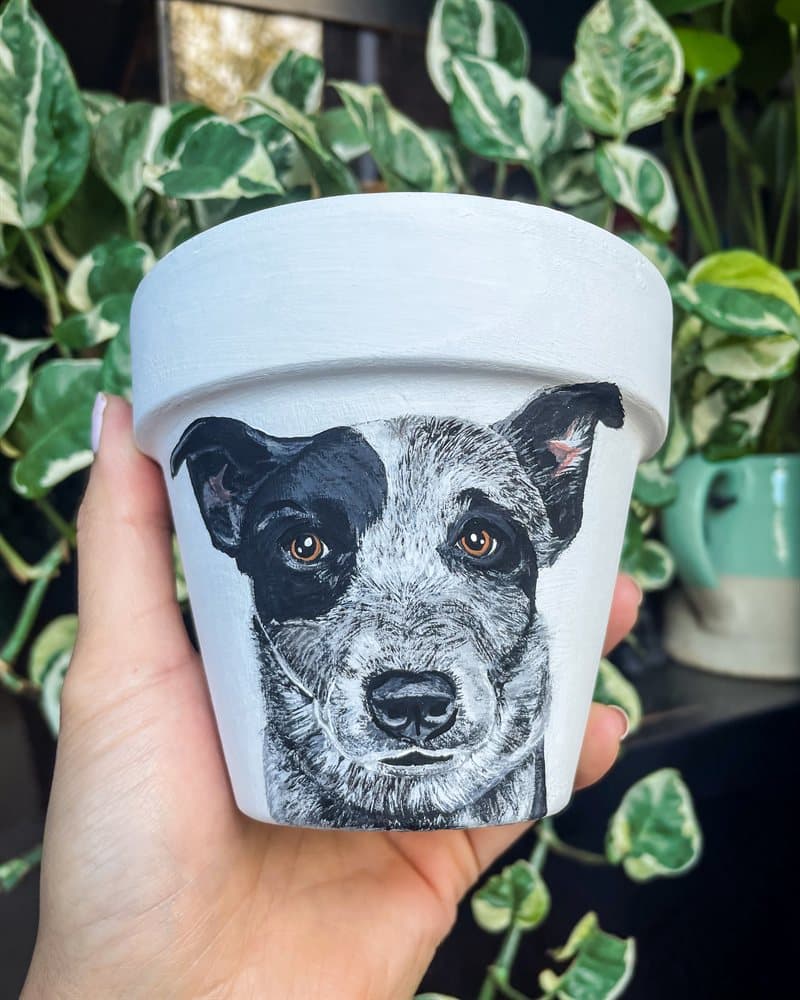 Hand-painted black-and-white cattle dog on a white clay pot among houseplants